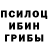 Галлюциногенные грибы MAGIC MUSHROOMS Ftg Djjddh