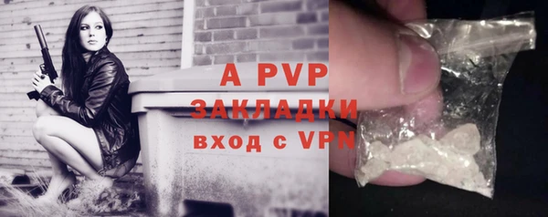 ГАЛЛЮЦИНОГЕННЫЕ ГРИБЫ Лихославль