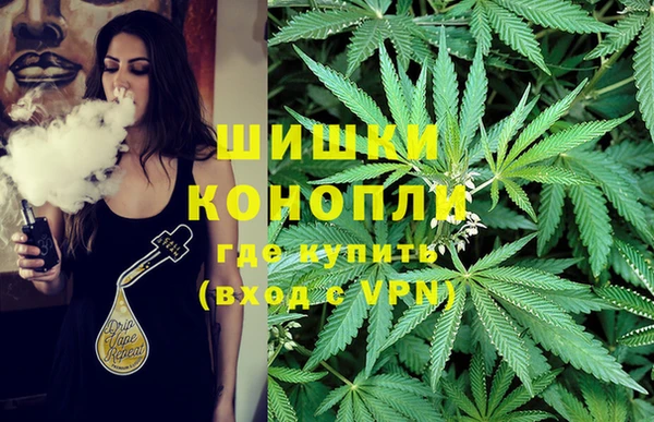 ГАЛЛЮЦИНОГЕННЫЕ ГРИБЫ Лихославль